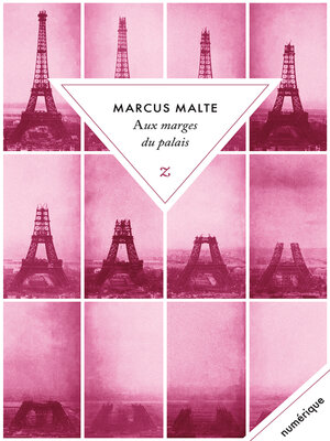 cover image of Aux marges du palais